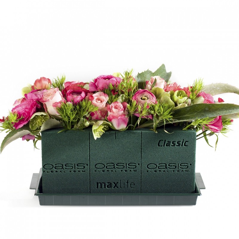 OASIS® CLASSIC Mousse florale pour fleurs coupées - OASIS® Floral Products