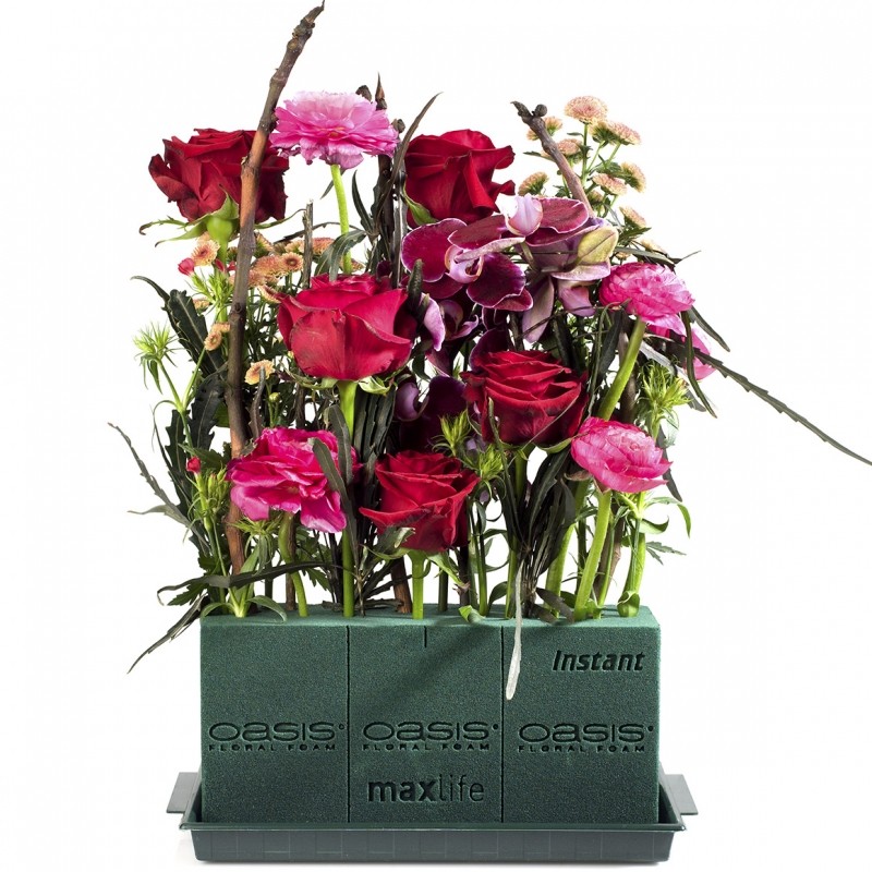 OASIS® INSTANT Mousse florale pour fleurs coupées - OASIS® Floral Products